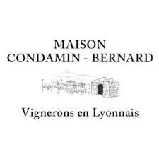 LOGO DOMAINE CONDAMIN